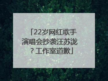 22岁网红歌手演唱会抄袭汪苏泷？工作室道歉
