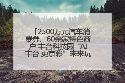2500万元汽车消费券、60余家特色商户 丰台科技园“AI丰台 更京彩”未来玩家市集活动正式开幕