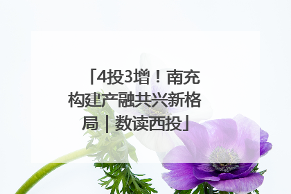 4投3增！南充构建产融共兴新格局｜数读西投