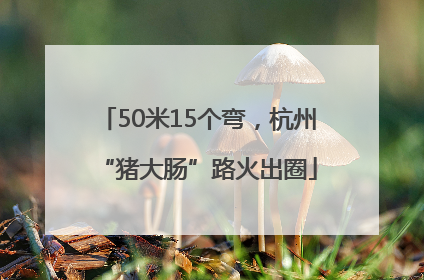50米15个弯，杭州“猪大肠”路火出圈