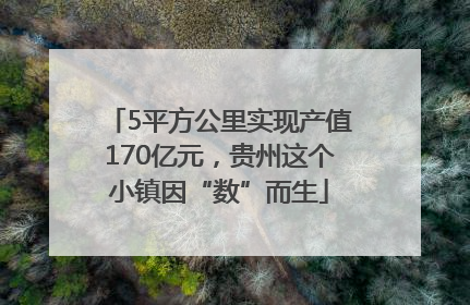 5平方公里实现产值170亿元，贵州这个小镇因“数”而生