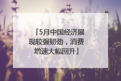 5月中国经济展现较强韧劲，消费增速大幅回升