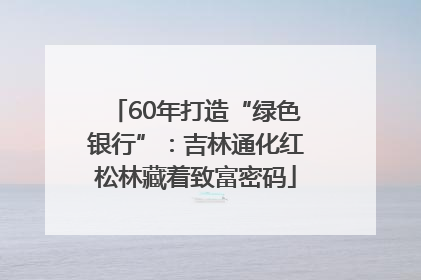 60年打造“绿色银行”：吉林通化红松林藏着致富密码
