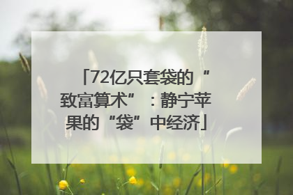 72亿只套袋的“致富算术”：静宁苹果的“袋”中经济