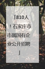 810人！石家庄市市属国有企业公开招聘
