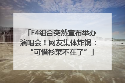 F4组合突然宣布举办演唱会！网友集体炸锅：“可惜杉菜不在了”