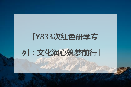 Y833次红色研学专列：文化润心筑梦前行